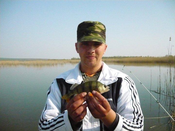 2013 - 2222941286439005461511213570n.jpg